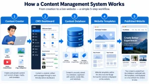 CMS Workflow Creation to Live Website